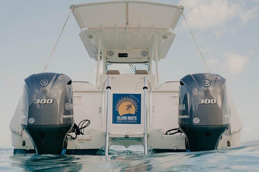 Easy to use boarding ladder and swim platform 3