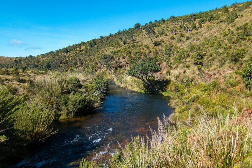 Horton Plains Tour From Nuwara Eliya 4