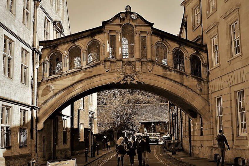 Un pont en arc orné de motifs décoratifs, entouré de bâtiments et d’un arbre. 1