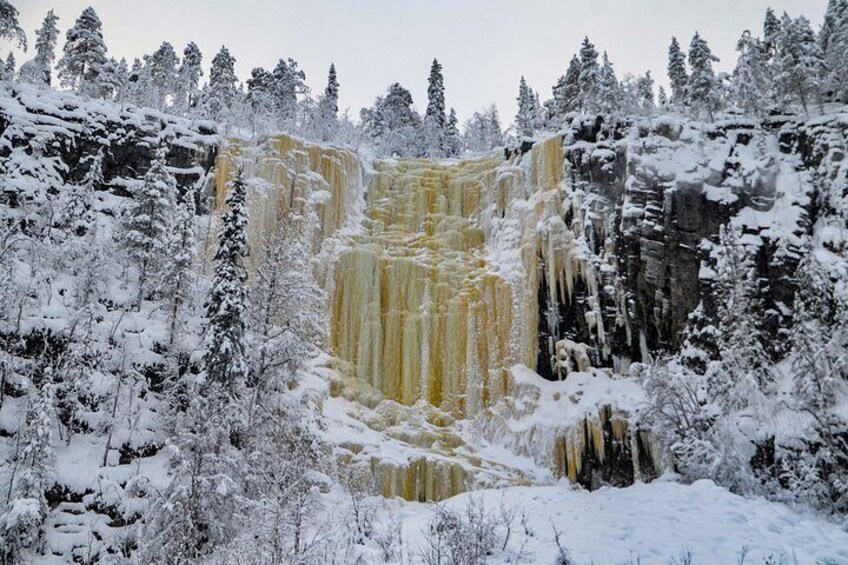 A snow-covered waterfall surrounded by trees. 3