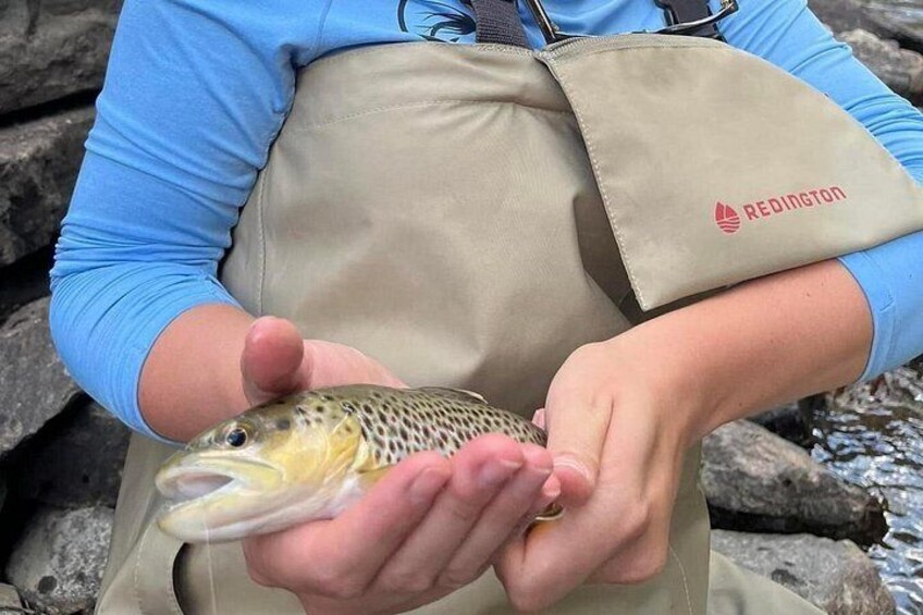 A person holding a fish with a red logo on their apron. 3