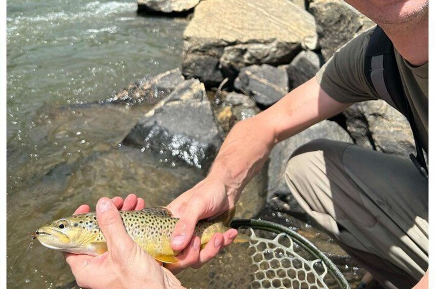 A person holding a trout in a stream with rocks and bubbles. 5