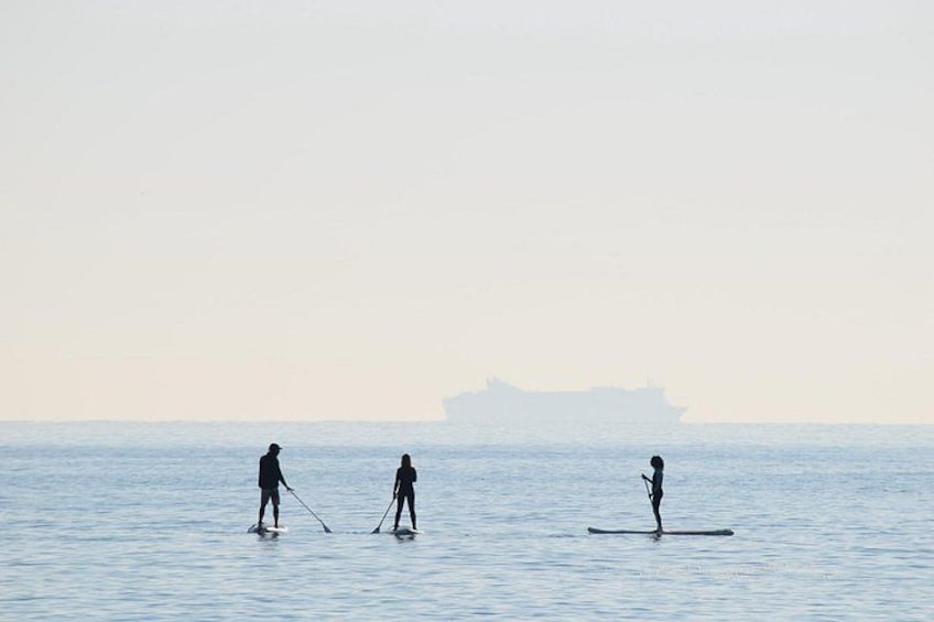 Three people paddleboarding on calm water with a ship in the distance. 3