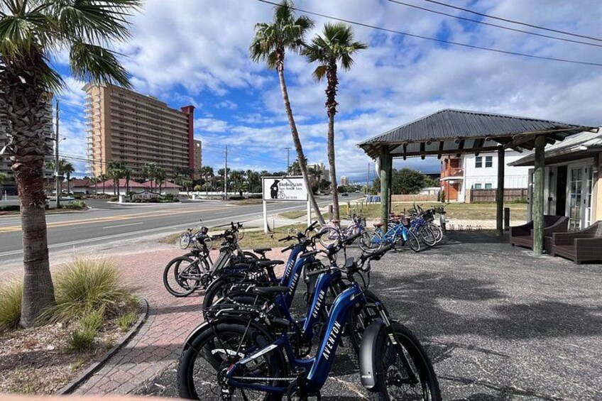 State Park E-Bike Tour: Alligators, Pier, & More [SELF-GUIDED] 3