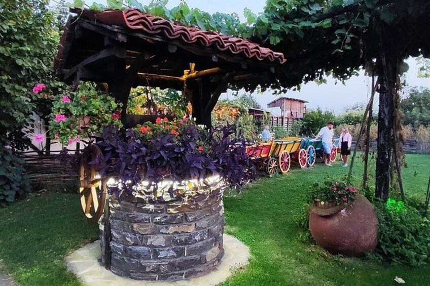 Bulgarian Dinner with Show from Nessebar and Sunny Beach 5
