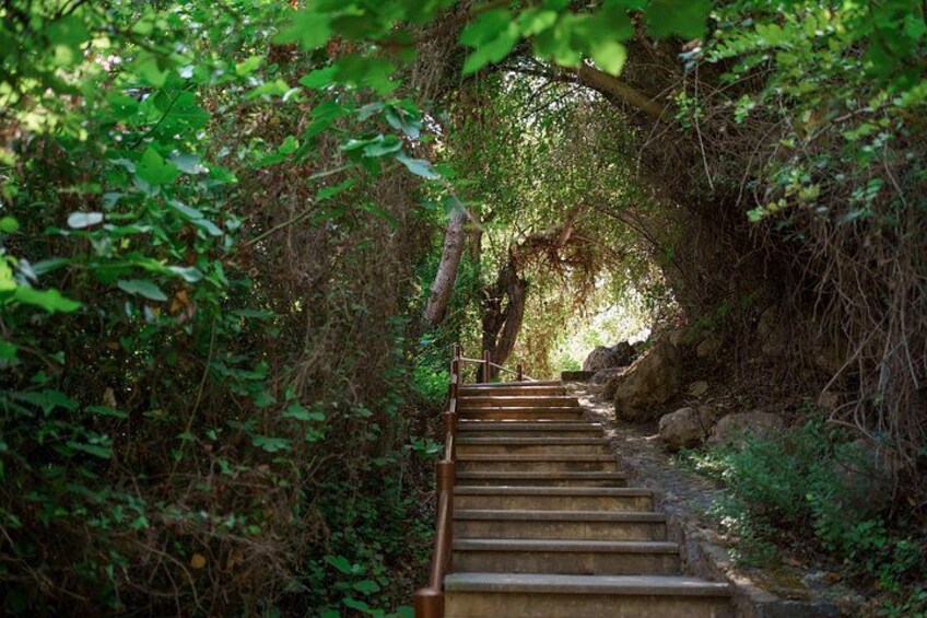 From Paphos: Aphrodite's Baths and Blue Lagoon (Akamas) Day Trip 2