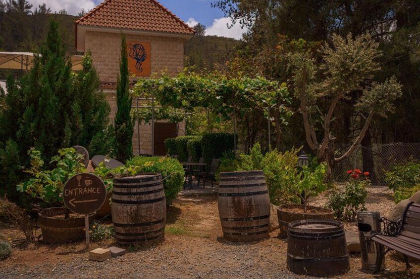100% Cyprus - Tour to Troodos mountains and villages (From Paphos) 4