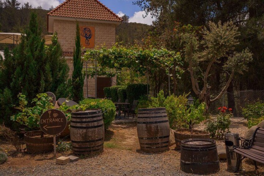 100% Cyprus - Tour to Troodos mountains and villages (From Paphos) 3