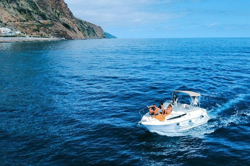 Whale and Dolphin Watching Tour in Madeira 3