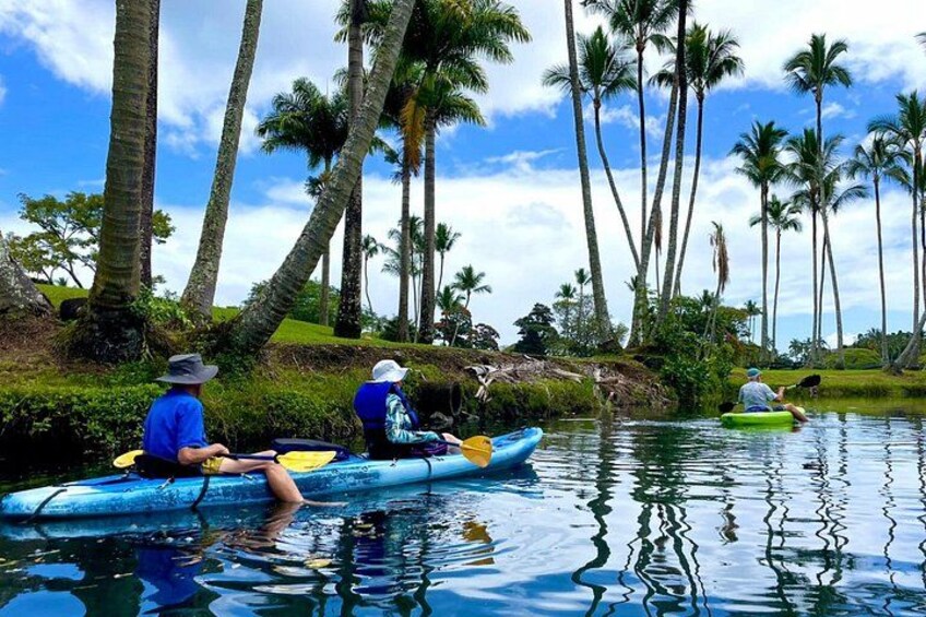 Wailoa River to King Kamehameha Statue Kayak Adventure 3
