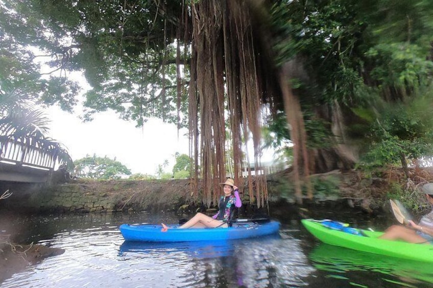 Wailoa River to King Kamehameha Statue Kayak Adventure 3