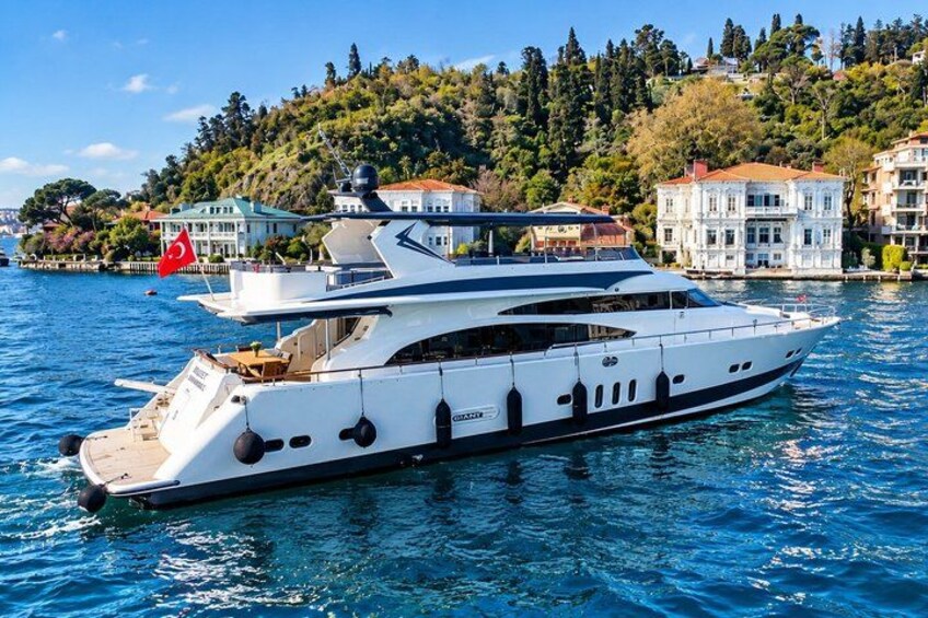 Istanbul Bosphorus Yacht Cruise with Guide and Asian Side Stop 2
