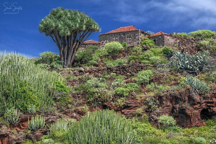 Garafia Hiking Route in La Palma 3