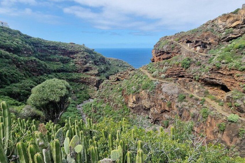 Garafia Hiking Route in La Palma 5