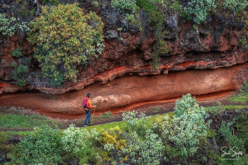 Garafia Hiking Route in La Palma 1