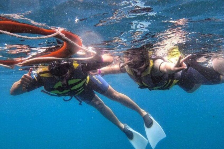 Two divers underwater with fins and scuba gear. 5