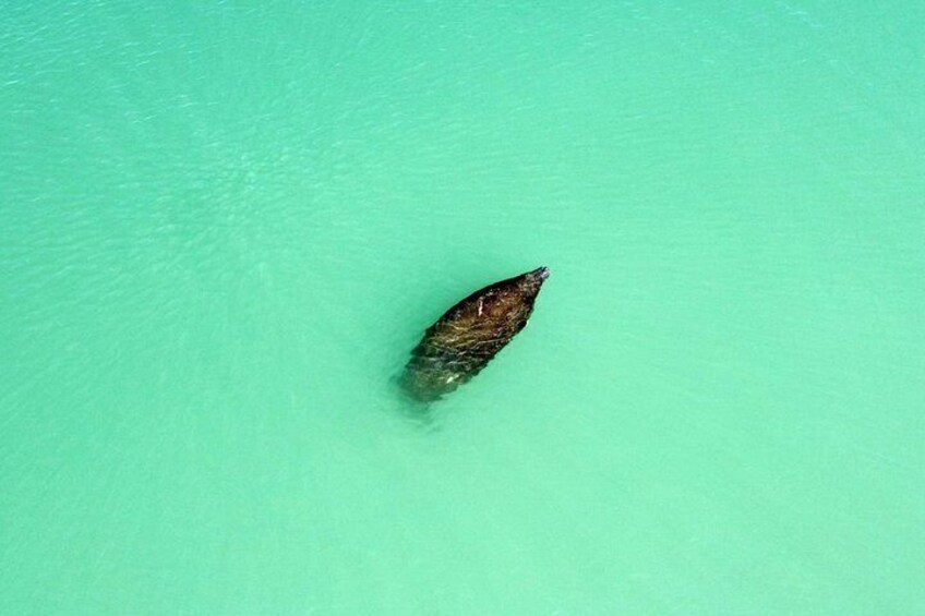 This Manatee has been coming around every day for the last week! 4