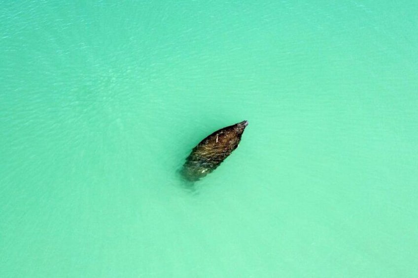 This Manatee has been coming around every day for the last week! 3