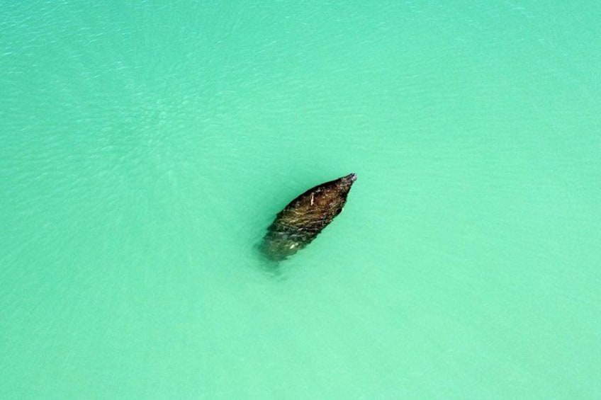 This Manatee has been coming around every day for the last week! 3