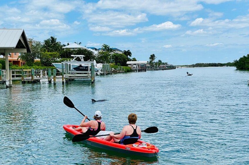 These amazing Ladies had never tried kayaking before and did a great job! Even the dolphins agreed! 4