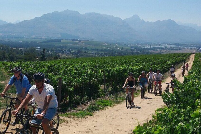 Wine Tasting with Bike Tour in Castiglione di Sicilia