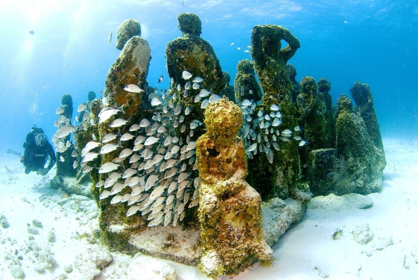 MUSA Underwater Museum Scuba Diving Lesson 4