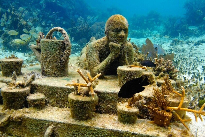 MUSA Underwater Museum Scuba Diving Lesson 5