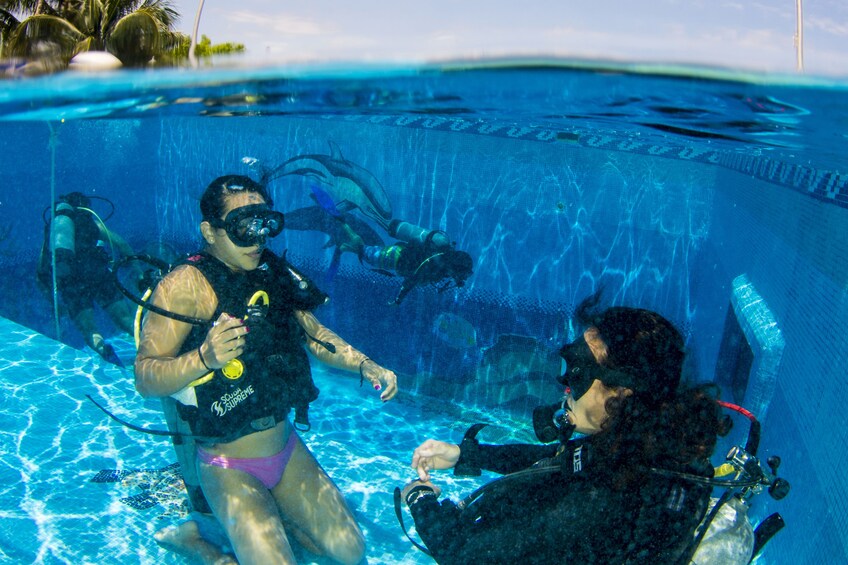 MUSA Underwater Museum Diving Lesson 1