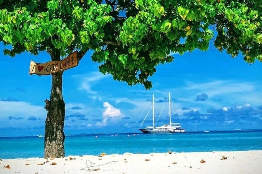 Ein Strand mit einem Schild unter einem Baum, einem wolkenlosen blauen Himmel und einem Segelboot im Wasser. 3