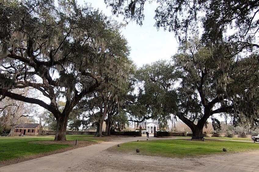 Boone Hall Plantation Tour 2