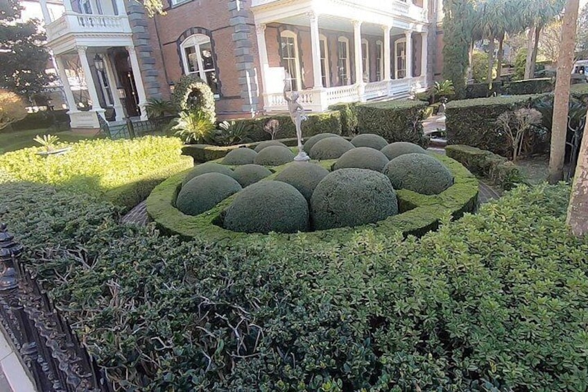 Lush Garden 2
