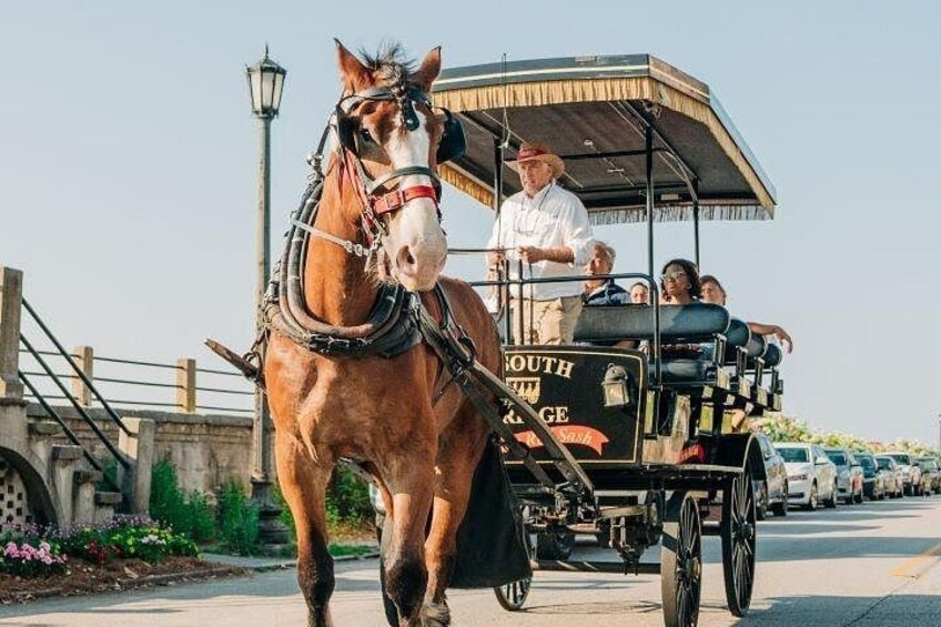 Old South Carriage Company Horse Drawn Carriage Tour 2