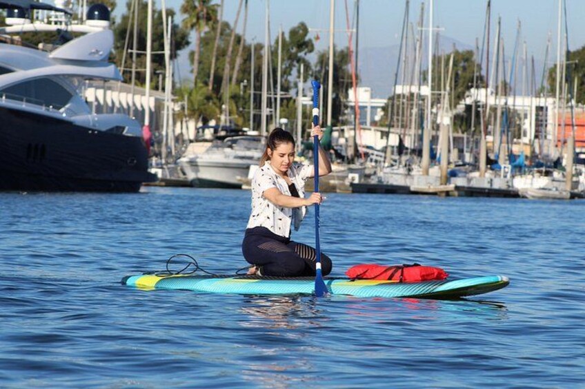 2-Hour Kayak or Paddleboard with Sea Lions in Marina del Rey 3