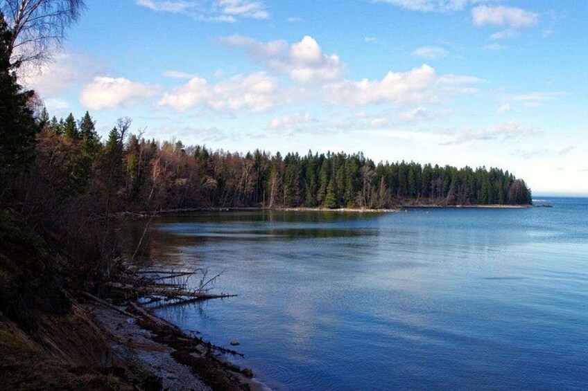 A calm lake surrounded by dense forest and a clear sky. 4