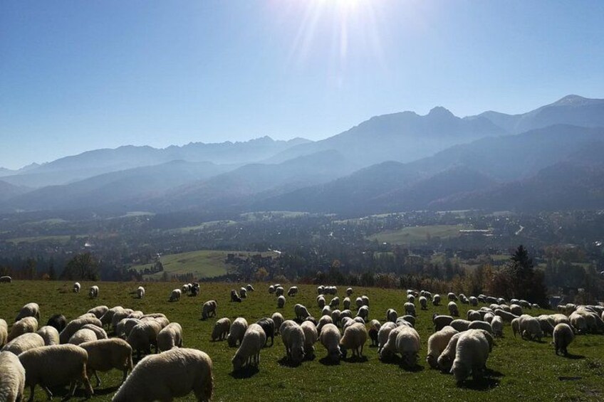 Private Full-Day Zakopane and Thermal Baths Tour from Krakow 2