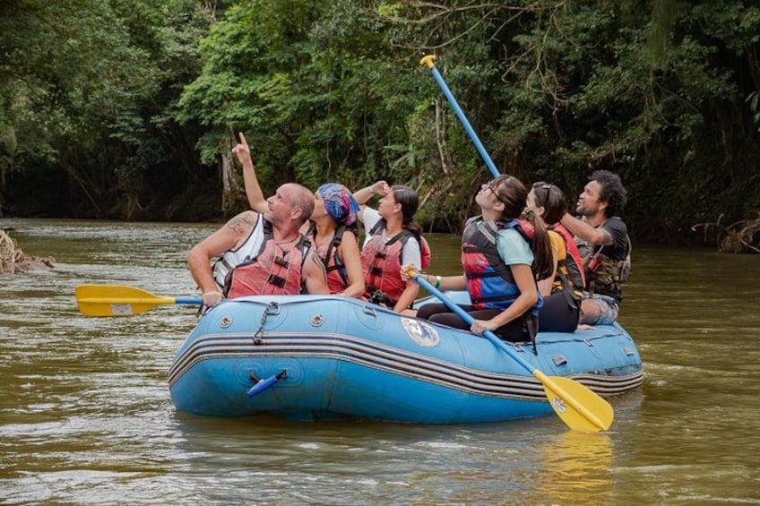 Un grupo de personas hacen rafting en un río rodeado de un bosque denso. 4