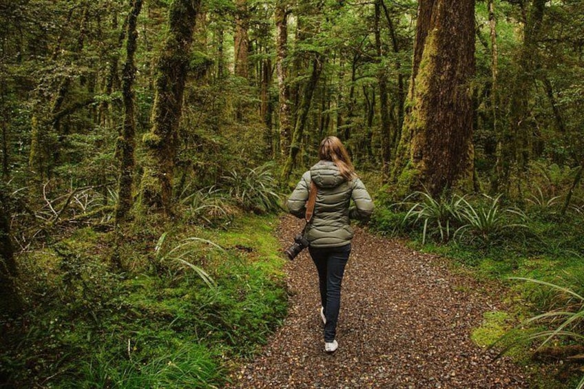 Guided Private Milford Sound Day Tour from Te Anau(Cruise Included) 2