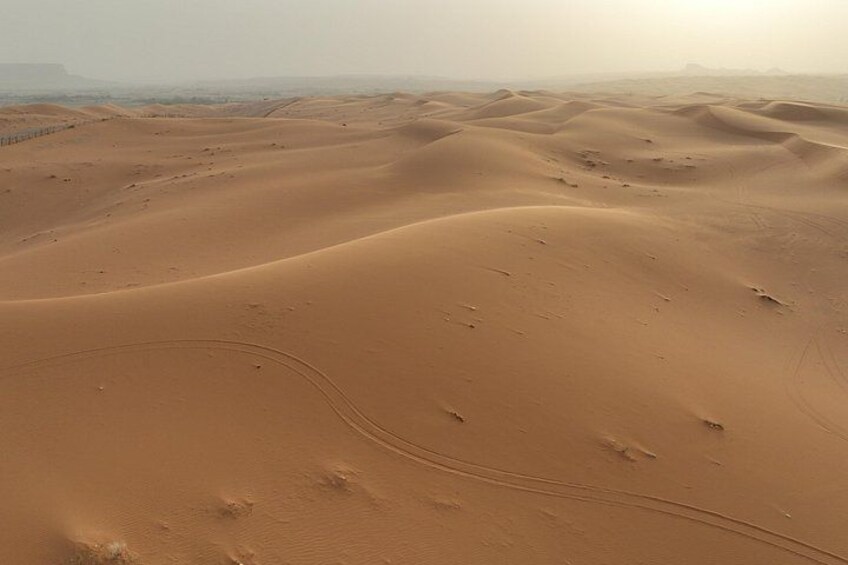 Undulating sand dunes with tire tracks. 3