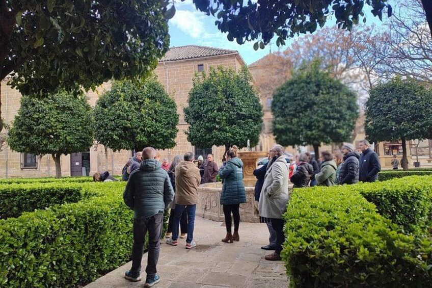Daily guided tour of Ubeda with SEMER Tourism 2