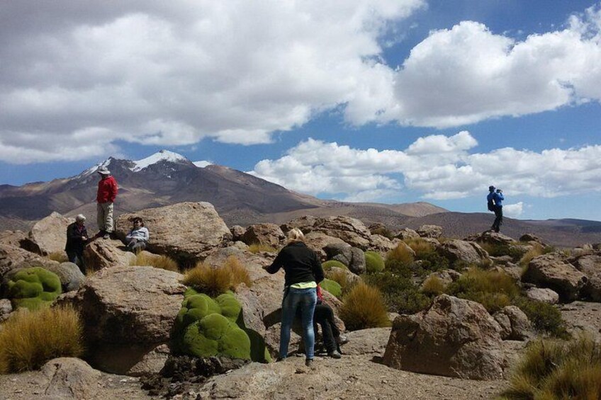 A group of people hiking on rocky terrain with a mountain in the background. 3