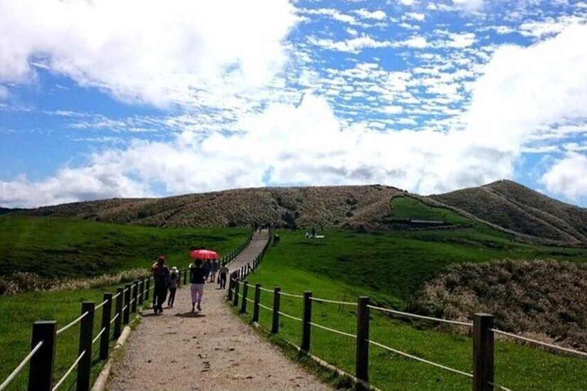 N105 Yangmingshan National Park Jinshan Old Street Yeliu Day Tour (10h)