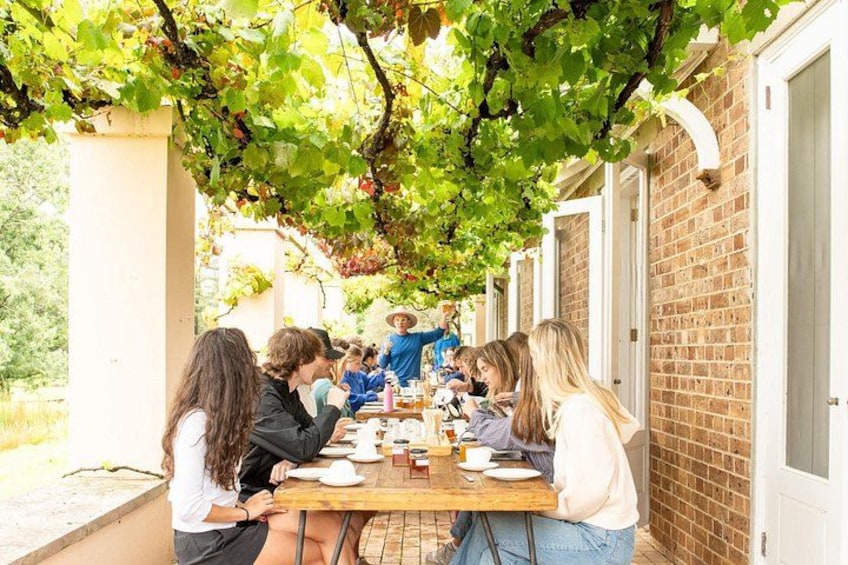 Bowral: Honey Farm Tour Including Morning Tea and Guided Tasting 3