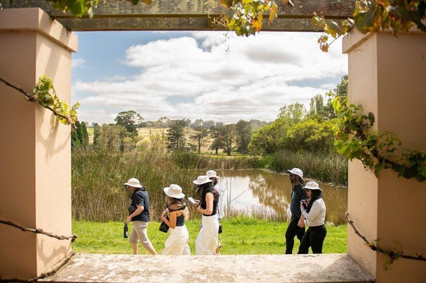 Bowral: Honey Farm Tour Including Morning Tea and Guided Tasting 2