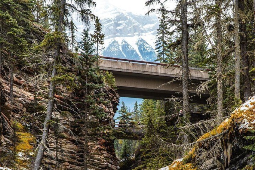 Icefields Parkway: a Smartphone Audio Driving Tour 3