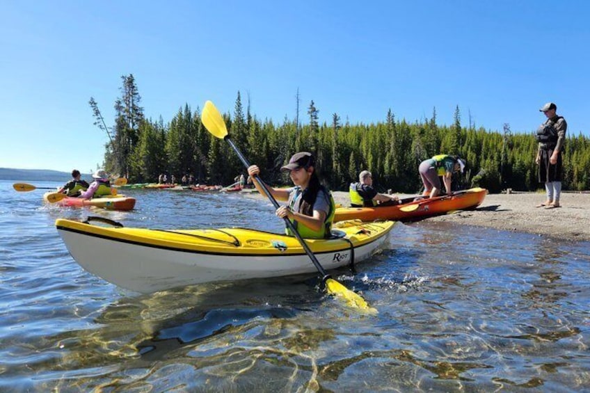 People kayaking on a clear lake surrounded by trees. 4
