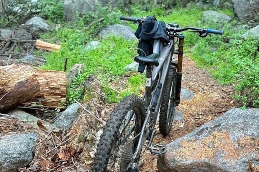 Una bicicleta de montaña estacionada en un sendero pedregoso rodeado de vegetación. 3