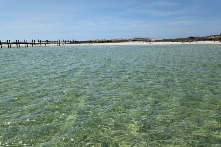 Two Hour Private Sightseeing/Dolphin Tour in Panama City Beach