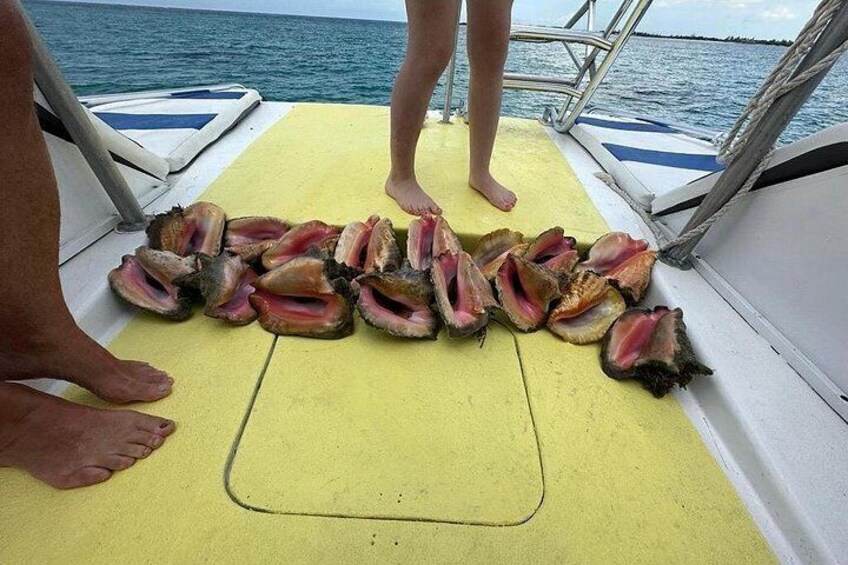Cubierta de barco con varias conchas marinas abiertas y dos personas de pie. 3