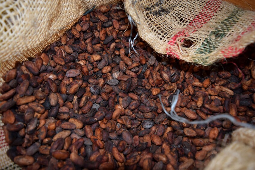 Colombian Gourmet Chocolate, Taste & Flavour experience from 4