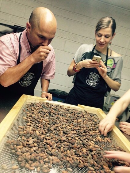 Colombian Gourmet Chocolate, Taste & Flavour experience from 5